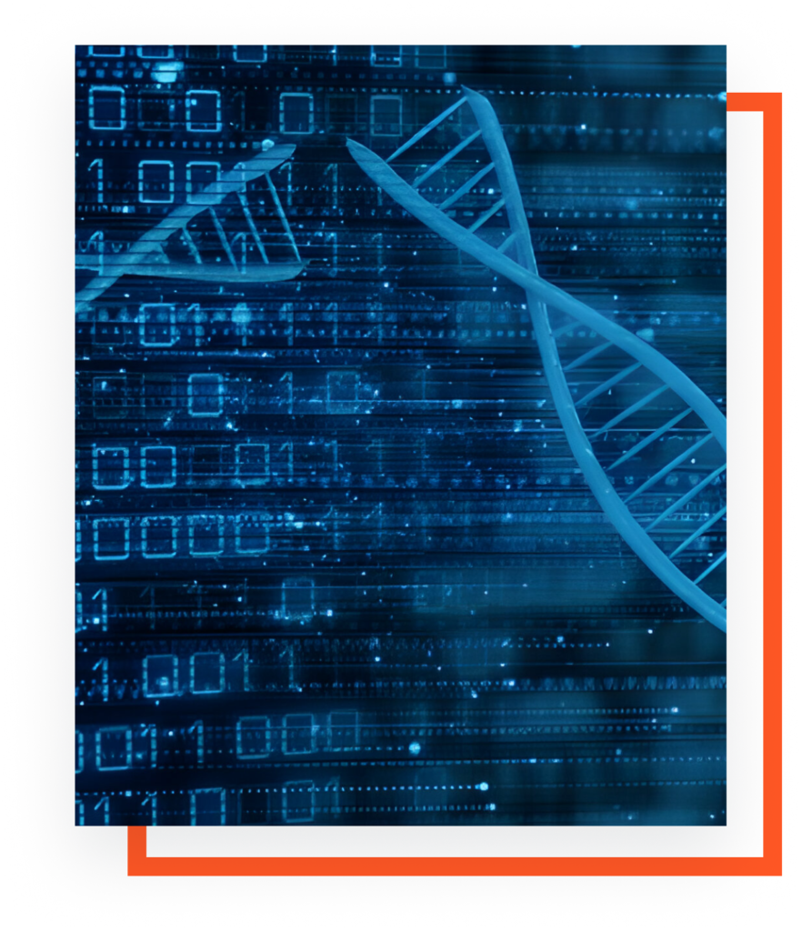 AI Medical Coding for MedDRA & WHODD
