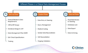 Different phases of the clinical data management process in clinical trials, showing start-up, conduct, and close-out stages with activities like CRF design, data entry and cleaning, query management, database lock, and data archiving.