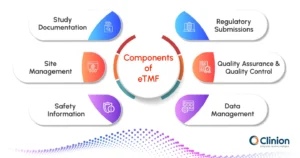 Diagram showing key components of eTMF in clinical trials, including study documentation, regulatory submissions, site management, quality assurance, safety information, and data management