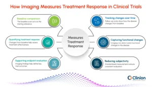 Infographic showing how imaging measures treatment response in clinical trials through baseline comparison and follow-up scans